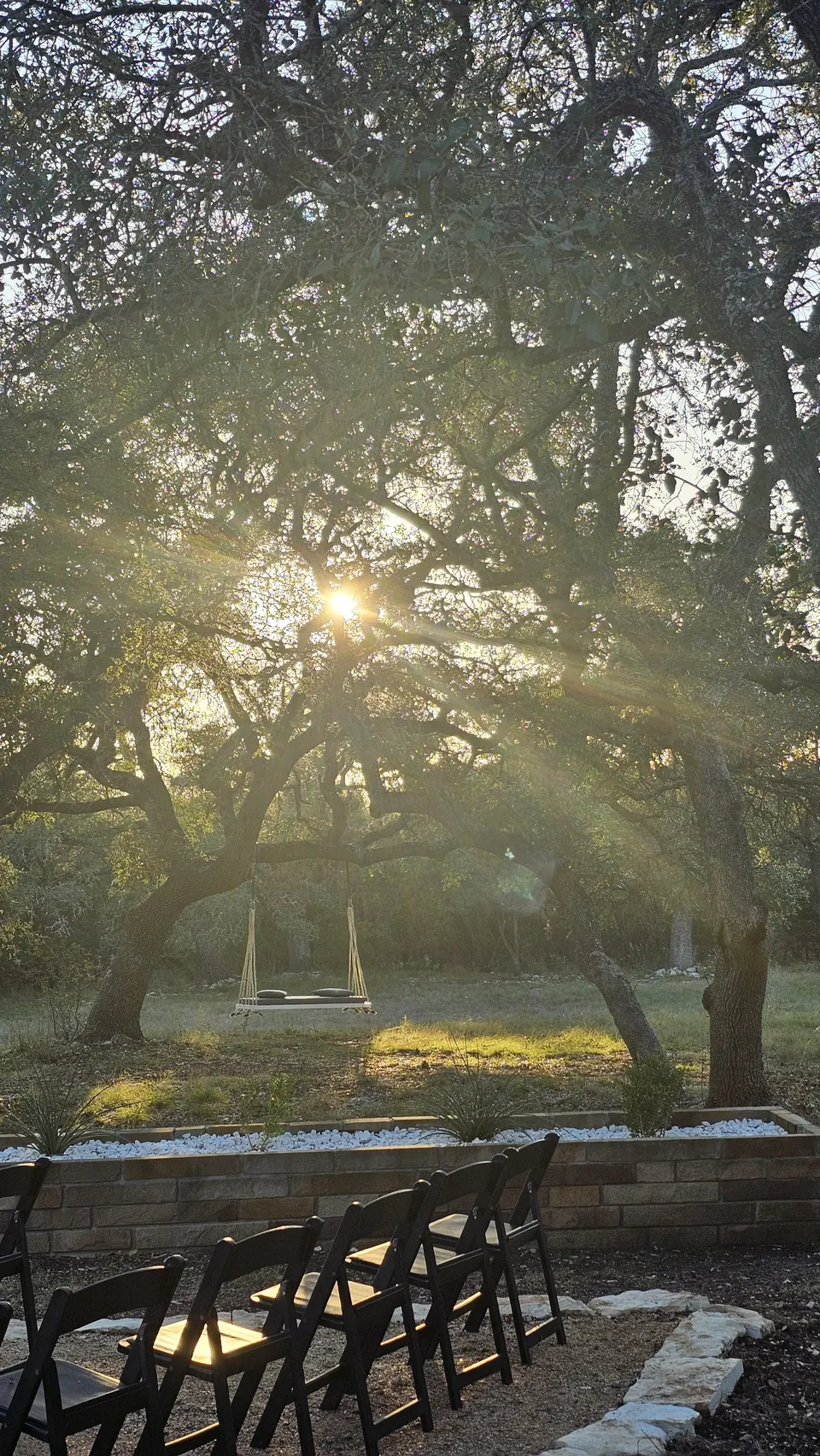 Rope swing hanging from a live oak at sunset at Prima Vista in Wimberley, Texas